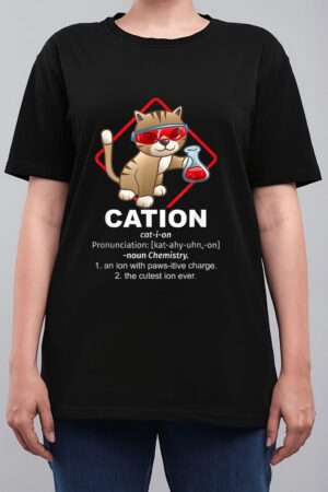 Chemistry Professor Kitty Science Day Cat Owner Chemist Women T-Shirt